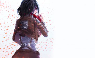 Mikasa Ackerman, anime, anime girl