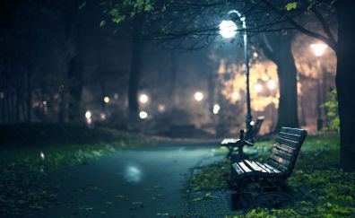 Park bench at night