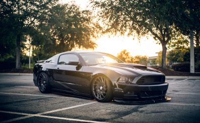 Ford Mustang Shelby, black sports car, side view