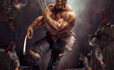 Wolverine, x-men, marvel comics, superhero, art
