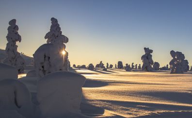 Finland, sunlight, winter, landscape, 4k