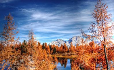 Dolomites, mountains, forest, clean sky, autumn