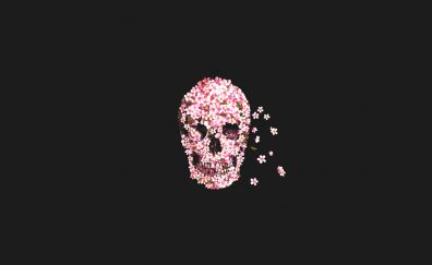 Flowers, skull, minimal, art