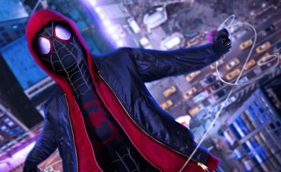 8 Spider Man: Into The Spider Verse Wallpapers, Hd Backgrounds, 4k Images,  Pictures Page 1