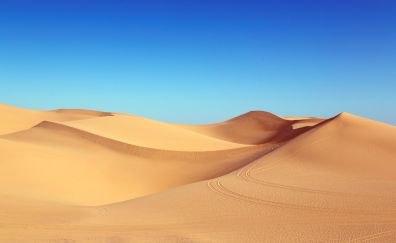 Blue sky and desert dunes