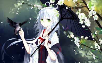 Cherry blossom, anime girl, umbrella, bird, original