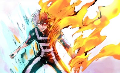 17 Shouto Todoroki Wallpapers Hd Backgrounds 4k Images Pictures