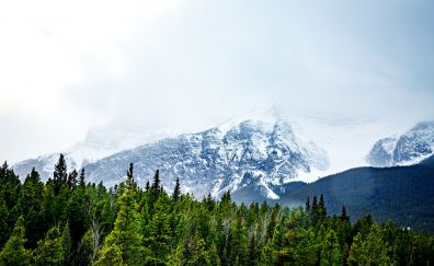Snow mountains, trees, nature, 5k