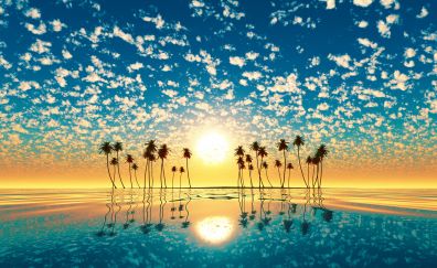 Palm trees, sunset, reflections, clouds