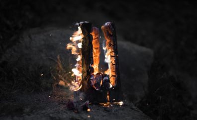Campfire, fire, wood, night