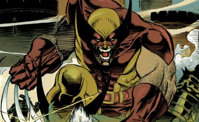 Wolverine, x-men, marvel comics