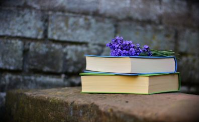 Books, reading, purple flowers