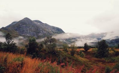 Landscape, mountains, mist, fog, nature