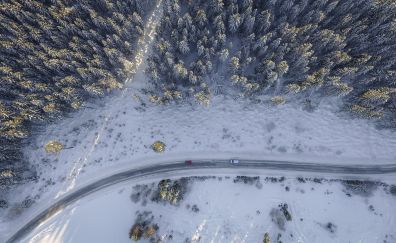 Snowy trees, road, forest, aerial view