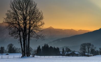 Fischbachau, sunset, nature, tree, landscape