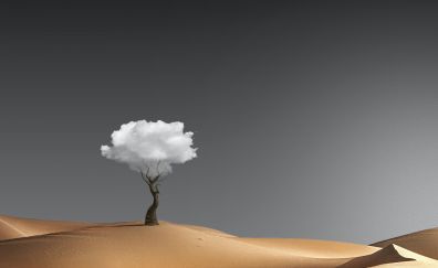 Minimal, tree in desert, digital art