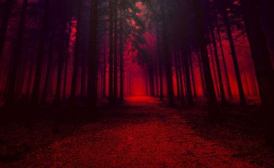 Red theme, forest, pathway, dark