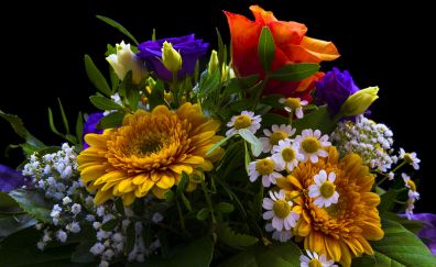 Bouquet, colorful flowers, gift