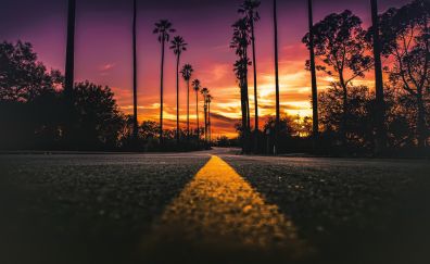 USA, road, highway, sunset, close up, 4k