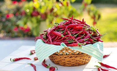 Peppers, chillies, basket