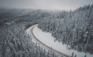 Winter, aerial views, trees, forest, road, 4k