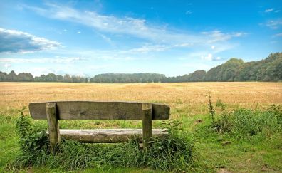 Wooden bench, landscape, farm
