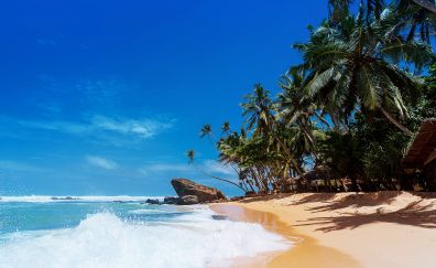 Tropical beach, sea waves, palm trees