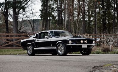 Black, Ford Mustang Shelby GT350, muscle car