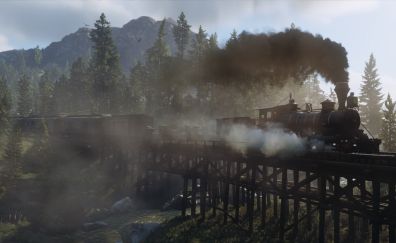 Red Dead Redemption 2, game, train