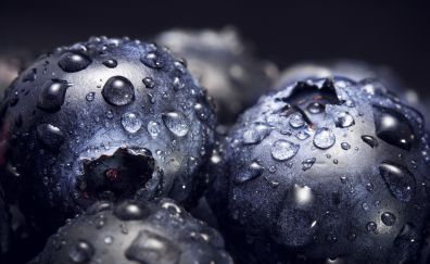 Blueberries, fruits, drops, close up