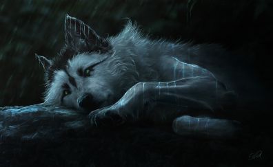 Beautiful wolf, art, relaxed, 4k