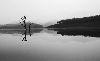 Lake, monochrome, reflections