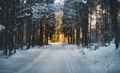 Winter, snow, road, trees, 5k