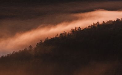 Sunset foggy
