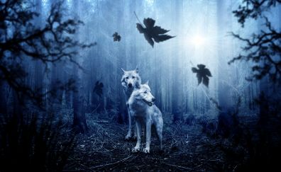 Wolf, animals, predator, forest, 5k