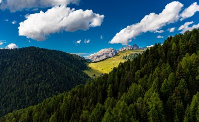 Trees, mountains, clouds, summer, 4k