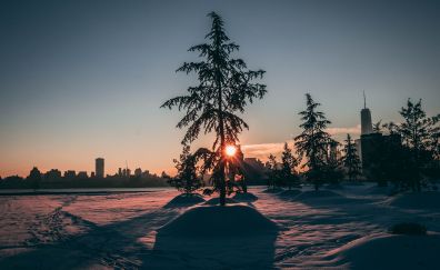 City park, snowfall, winter, tree, sunrise, 5k