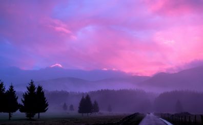 Misty, fog, pink, sunset, horizon, nature, trees