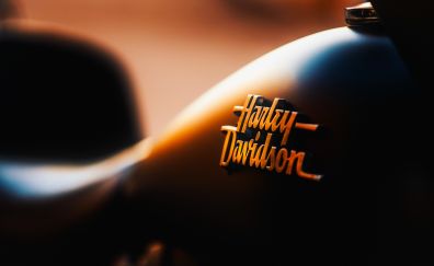 Harley davidson, motorcycle