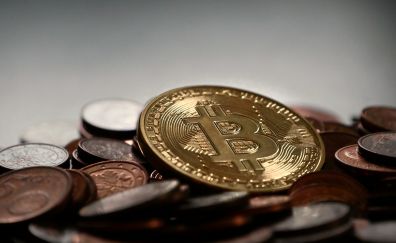 Bitcoin, money, coins