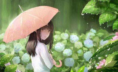Cute anime girl, rain, umbrella