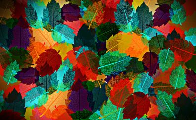 Colorful leaves artwork