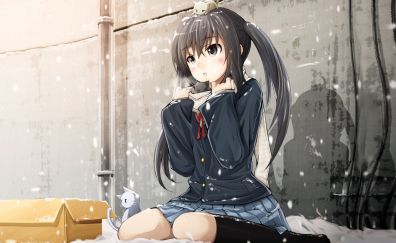 Cute anime girl, sit, Azusa Nakano, K-ON!