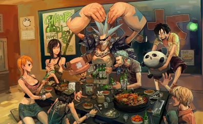 All characters, one piece, anime