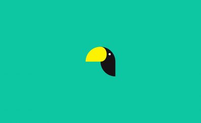 Toucan, bird, minimal, art