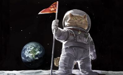 Cat, planet, earth, moon, humor
