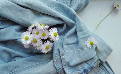 Summer, jeans, wild flowers