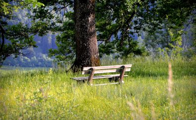 Bench, grass, meadow, landscape