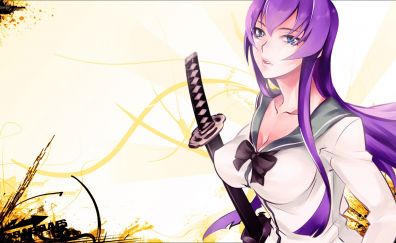 Anime girl, Saeko Busujima, Highschool of the Dead, purple hair