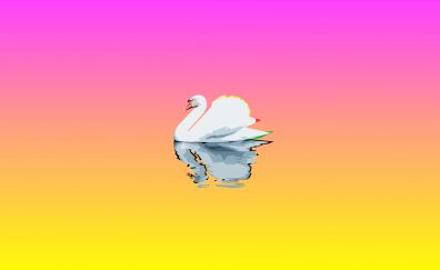 Swan bird, digital artwork